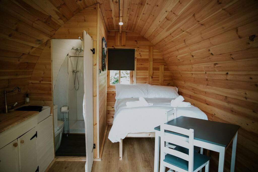 Appartement Pine Cosy Winter Cabin - Hot Tub & Log Burner à Barmouth Extérieur photo