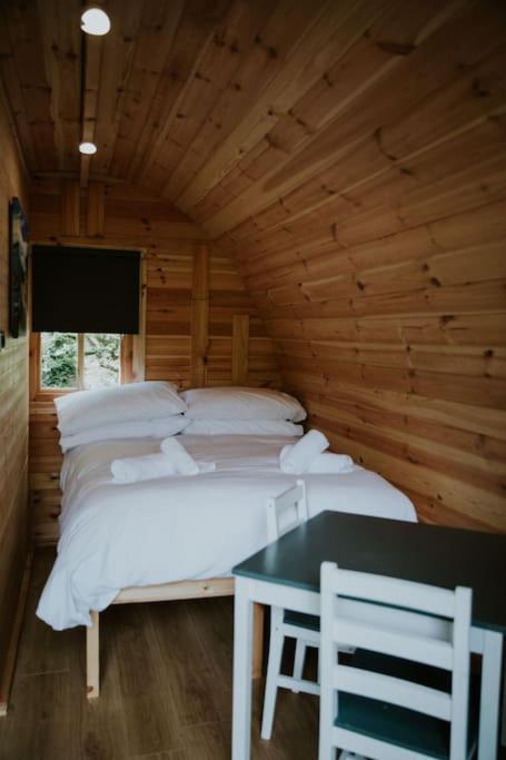 Appartement Pine Cosy Winter Cabin - Hot Tub & Log Burner à Barmouth Extérieur photo
