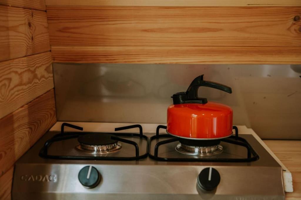 Appartement Pine Cosy Winter Cabin - Hot Tub & Log Burner à Barmouth Extérieur photo